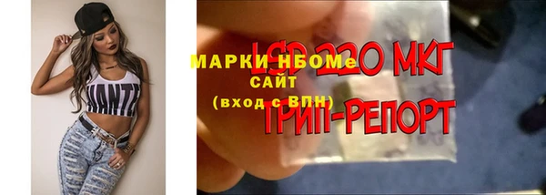 каннабис Аркадак