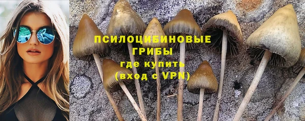 ешки Алзамай