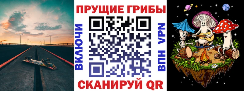 Псилоцибиновые грибы Psilocybine cubensis  Нарткала 