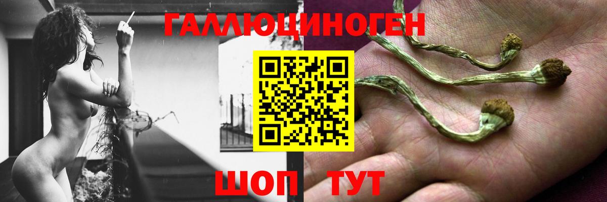 Нарткала  Галлюциногенные грибы ЛСД  Вход с VPN 